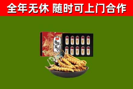 海晏回收冬虫夏草价格